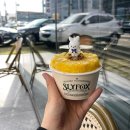 [2024년 11월 일상 기록] 공주들아 추우니까 살찌우자