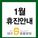 대구S동물병원 이미지