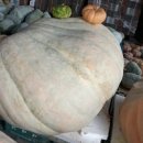 종래슈퍼 이미지