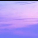 11월10일(화)시흥 안산 시티투어 이미지