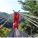 호수담다 이미지