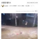 숲을지나