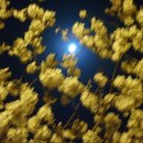 오늘의 경주 이미지