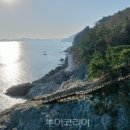 치유의 숲 이미지