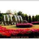 장미어린이공원 이미지