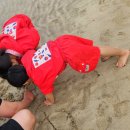UR(서귀포시)-[표선중앙로]-하-1 | [26.3.29]성읍뚱보식당 성읍민속마을 표선해수욕장 표선하다 장흥식당 미성원횟집