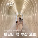 데얼이즈부산 | 부산여행 기장호텔 아이랑 호캉스 아난티 앳 부산 코브 워터하우스 야외수영장 인피니티 풀 이터널저니