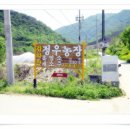 고향자녀농장 이미지