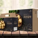 디자인감자 이미지