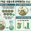 입자