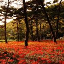 성주산자연휴양림 이미지