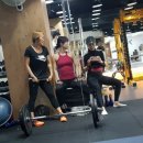 파인짐(FINE GYM) 이미지