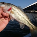 낙동강약국 이미지