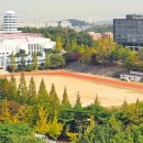 수원대학교 박물관 이미지