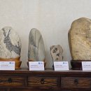 청송수석꽃돌박물관 이미지