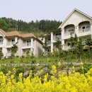 마리나여관 이미지