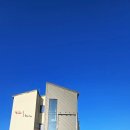 (주)익스트림스포츠코리아 | 양주 키즈카페 토도 클라이밍 익스트림 스포츠체험 실내 실외 놀이터