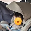 370096 | 카시트 브랜드 순위 정리