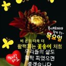 🌷 목요일 문안편지 '참 좋은 한마디~♬' 🌷-날마다 좋은글 중에서 이미지