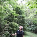 진성삼거리 이미지