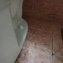 일산중앙화장실 이미지