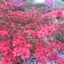 이순희농장 이미지