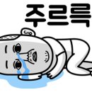 국제무사합기도 이미지