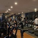 RX FITNESS 네이버블로그