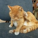 동서세차장 이미지