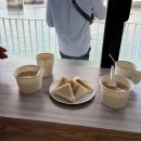 푸켓 피피섬 투어 + 롱테일 보트 추천! 그린망고 홀리데이 내돈내산 후기