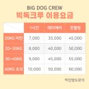 데이케어 | 부산 대형견 호텔 유치원 [빅독크루] 데이케어 후기✿˖°