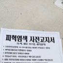 수영수선