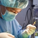 딜리동물병원 이미지