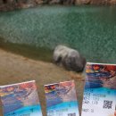 산청삼한사랑채공인중개사사무소 | 경남 하동 삼성궁 당일치기 여행 기록