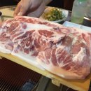 돼지새마을운동 Daum카페