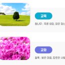 순천선혜학교기업 다온 | (특수학교) 순천선혜학교 2025 신입생 입학안내, 학교안내​​