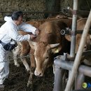 구지동물병원 이미지