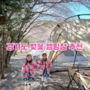 문수산캠핑장 | 경기도 근교 벚꽃 캠핑장 추천, 용인 문수산캠핑장 1박 6만원