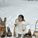 제주도 돌스냅, 아바마인드스튜디오 카페갤러리에서 눈오는날 야외촬영후기