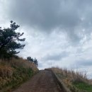 포도원흑돼지 이미지