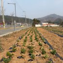 달천동 행정복지센터 이미지