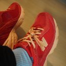 509 | U509XC | 뉴발란스X엑슬림 New Balance 509 구매후기/무보정