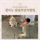 달빛어린이병원 총정리 주말 진료 후기까지 한눈에