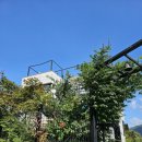 아침휴플러스 이미지