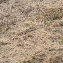 지에스(GS)25 반지사거리점 이미지