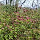 다목적강좌실 이미지