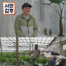 서민유통 이미지