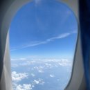 대로상회 이미지