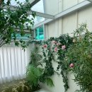 스테이 휘경 이미지