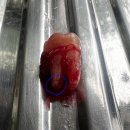 김재원치과의원 이미지